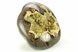 Polished, Crystal Filled Septarian Nodule - Utah #272920-1